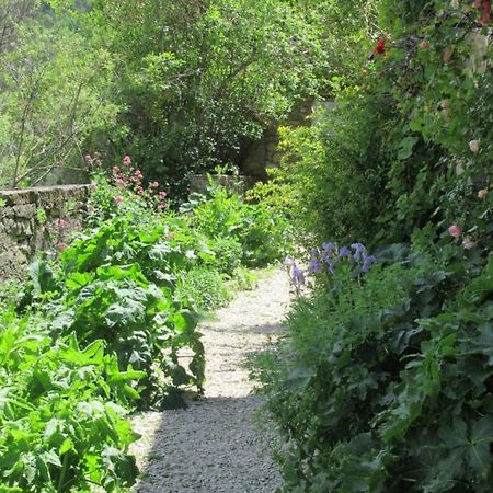 La Ferme De La Condamine Bed and Breakfast Saint-André-de-Rosans Εξωτερικό φωτογραφία