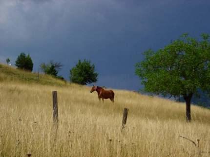 La Ferme De La Condamine Bed and Breakfast Saint-André-de-Rosans Εξωτερικό φωτογραφία