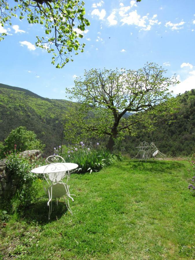 La Ferme De La Condamine Bed and Breakfast Saint-André-de-Rosans Εξωτερικό φωτογραφία