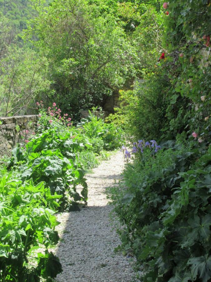 La Ferme De La Condamine Bed and Breakfast Saint-André-de-Rosans Εξωτερικό φωτογραφία